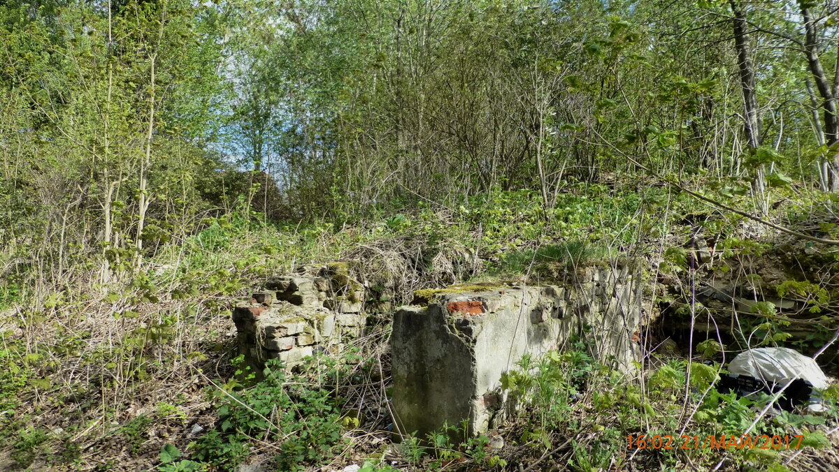 P1090871.JPG