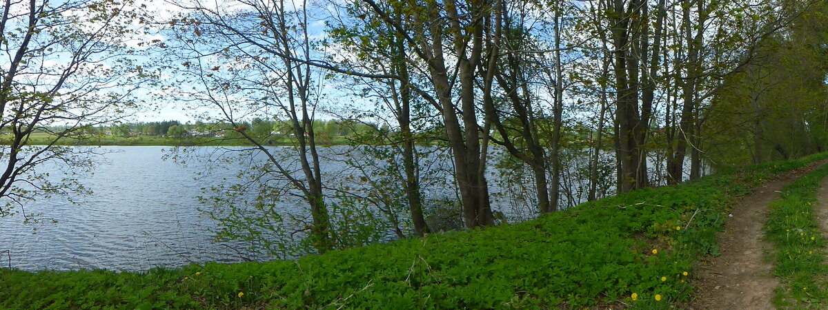 P1090874.JPG