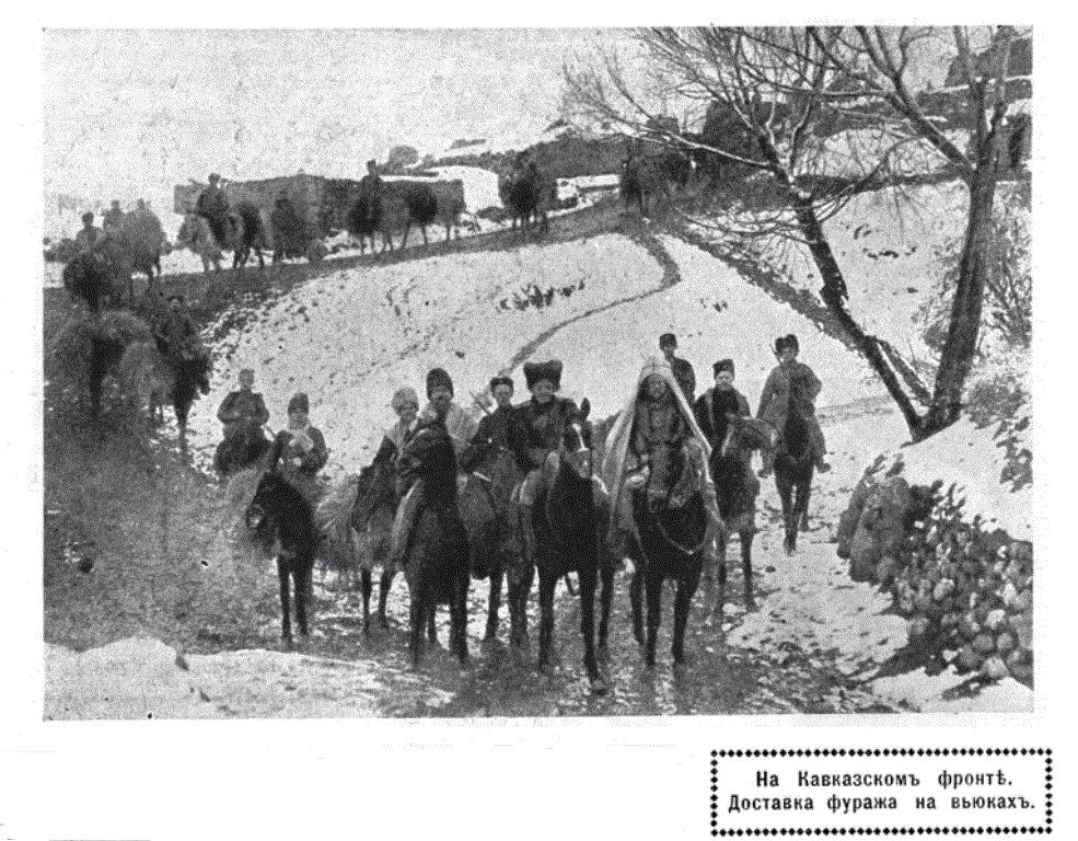 Кавказский фронт. Алашкертская операция 1915. Кавказский фронт первой мировой войны. Кавказский фронт 1916 май. Солдат на Кавказском фронте 1916.