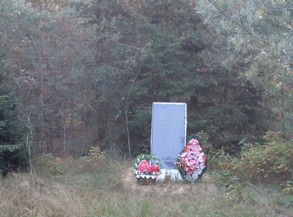 SDC18423 Памятник в лесу у села М.Горожа.  У слияния рек Свислочь и Синяя Могилевской области..JPG