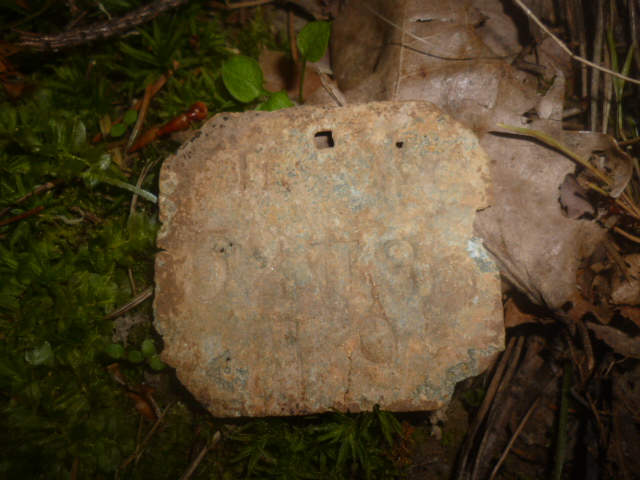 P1160016.JPG
