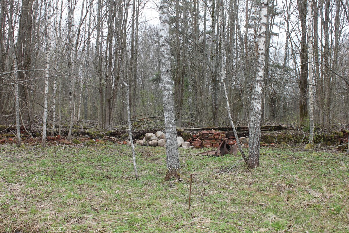 IMG_8388q.jpg