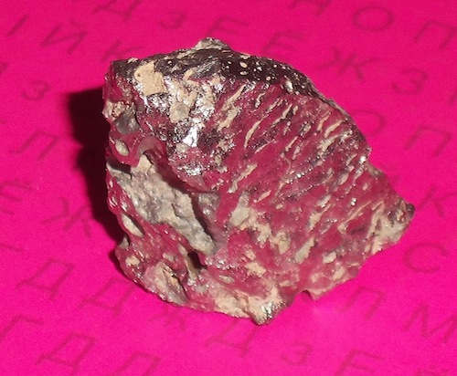 100_4465.JPG