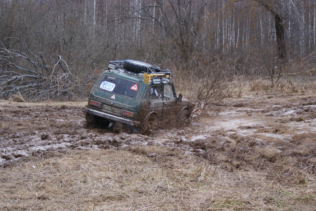 DSC01229(18).JPG
