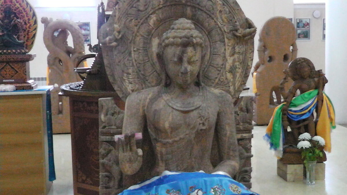 S2040015.JPG