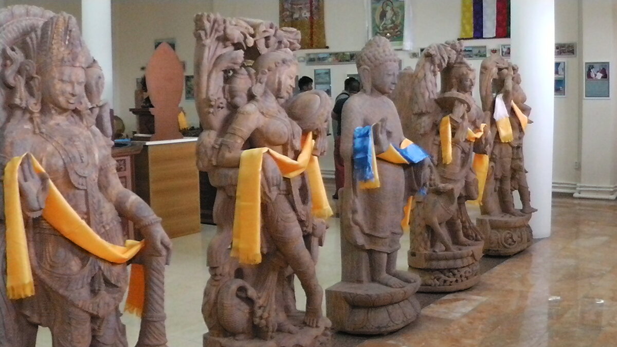 S2040020.JPG
