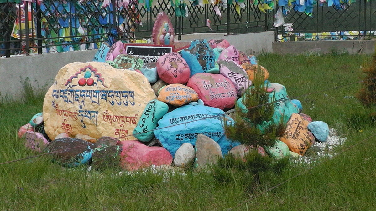 S2040029.JPG