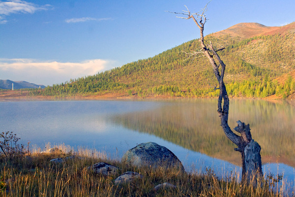 _MG_3916.jpg