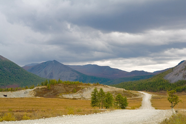 _MG_3996_1.jpg