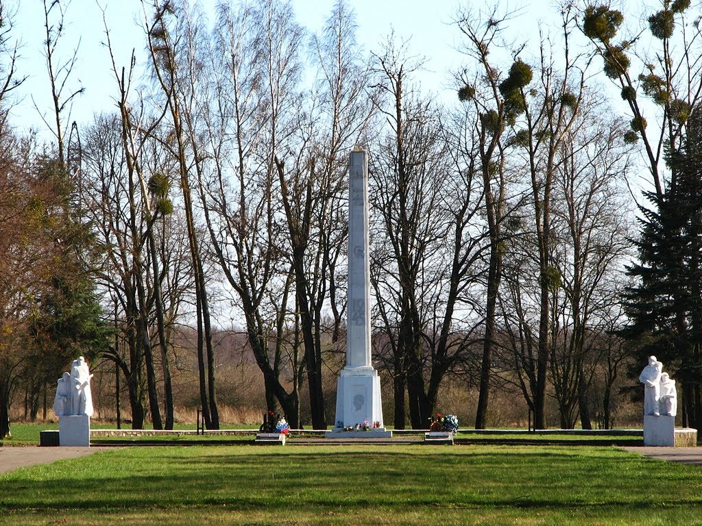 118612231.jpg