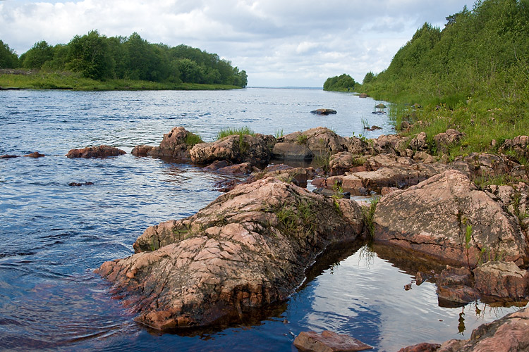 DSC_3003.jpg