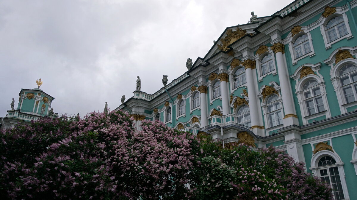 DSC08366.JPG
