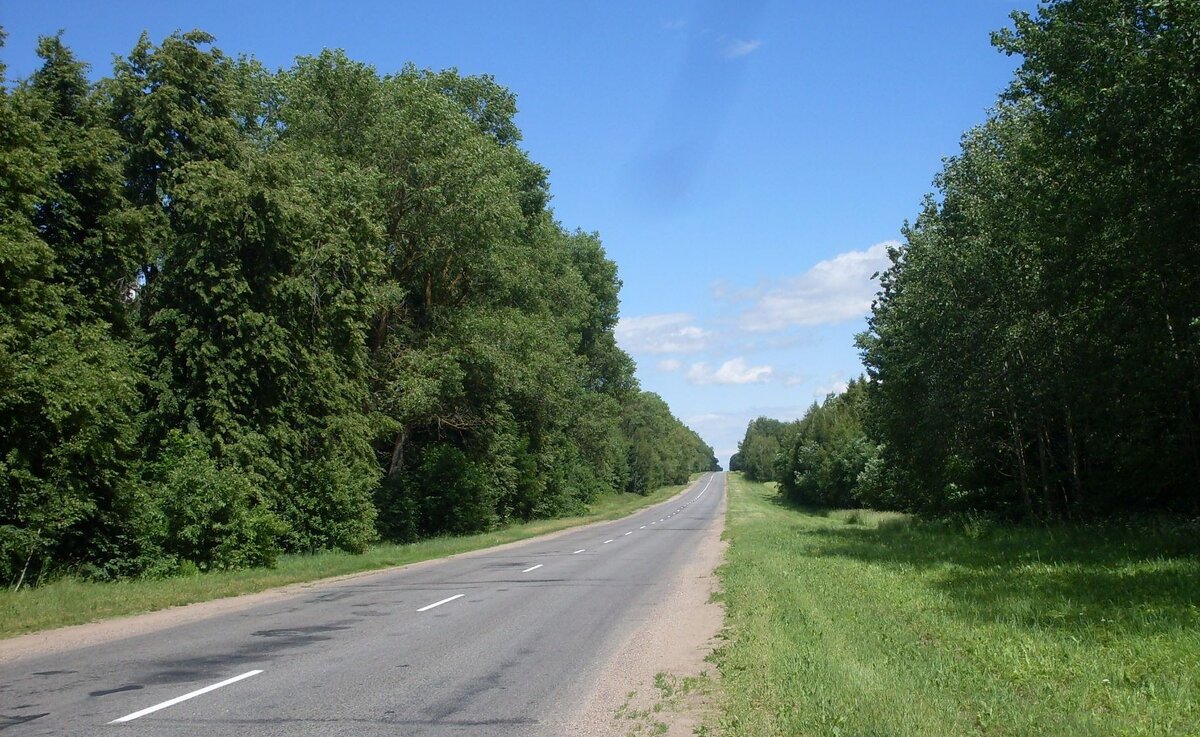 SDC10119.JPG