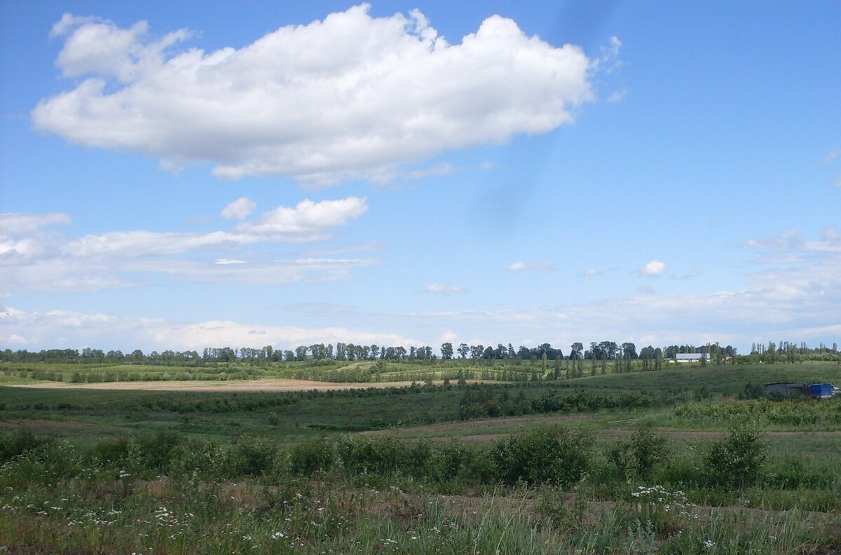 SDC10117.JPG