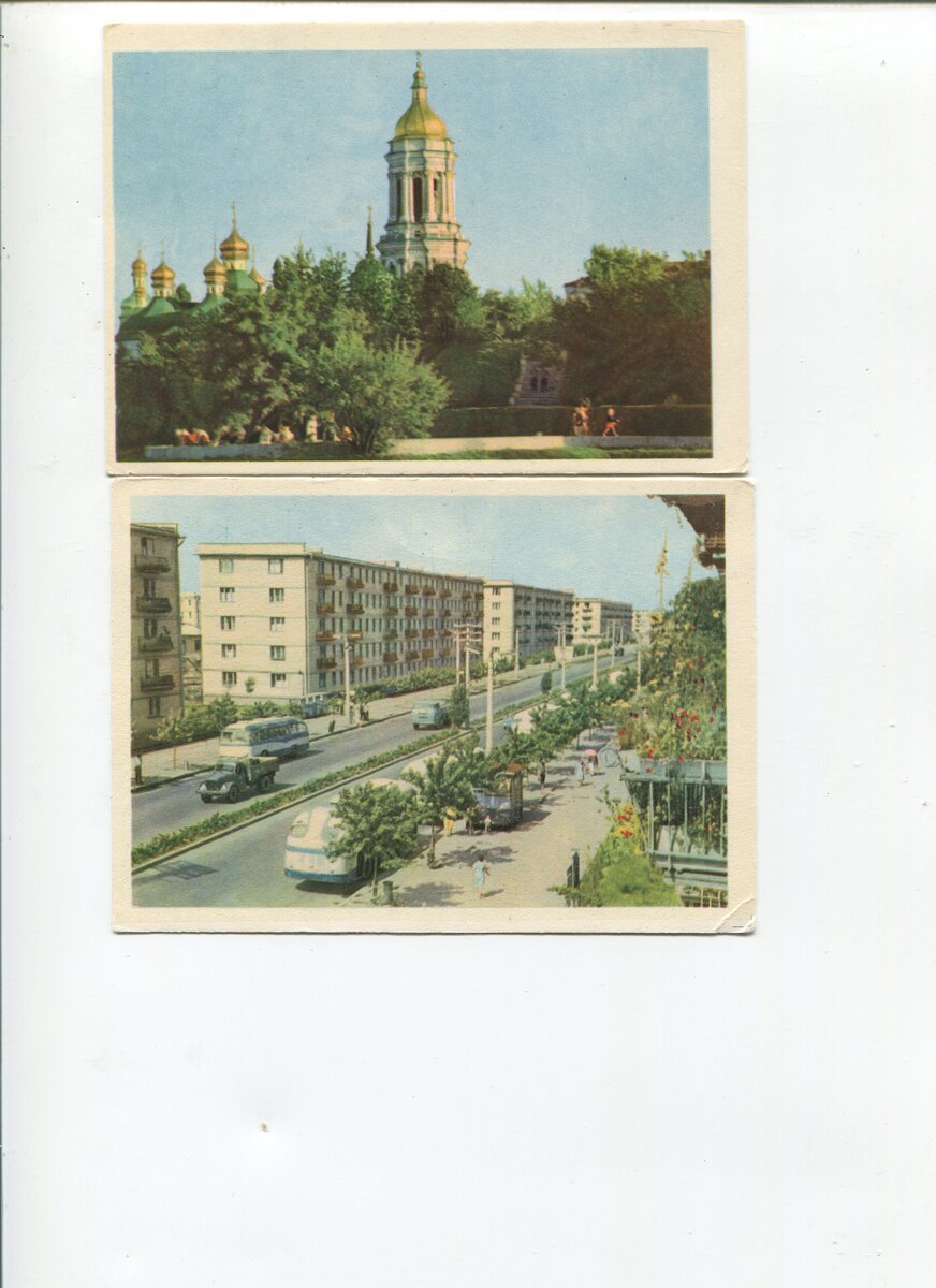 img269.jpg