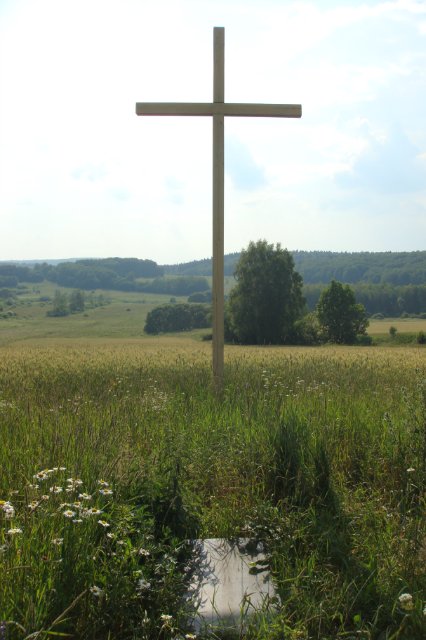 17ce8285414c.jpg