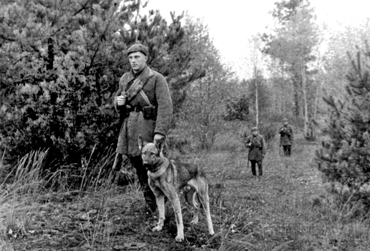 1939-god-pogranichnyjj-dozor-na-oxrane-novojj-granicy-v-zap-belorussii-1.jpg