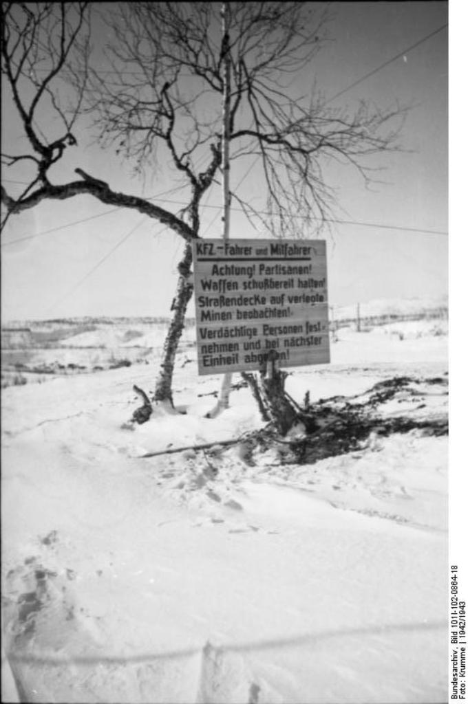 Bundesarchiv_Bild_101I-102-0864-18,_Nordeuropa,_Warnung_vor_Partisanen.jpg