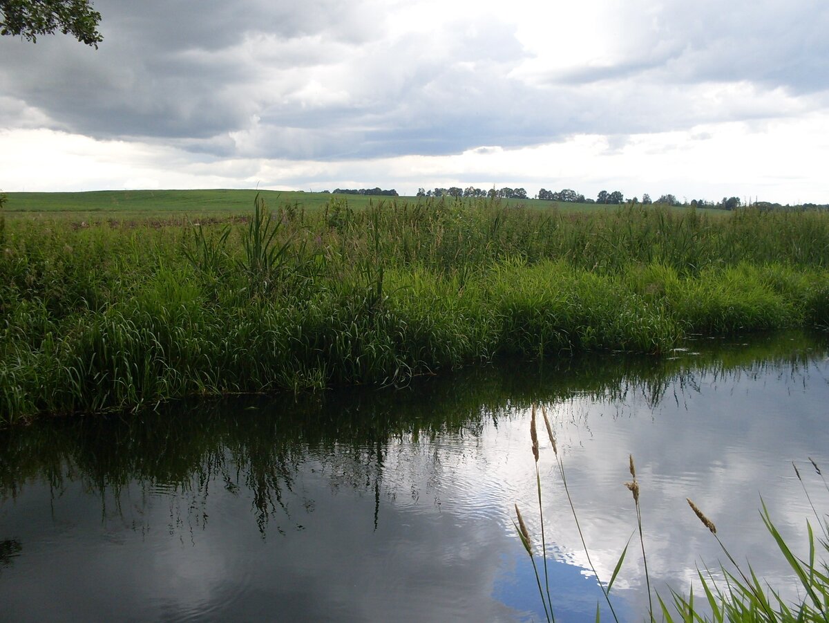 SDC10156.JPG