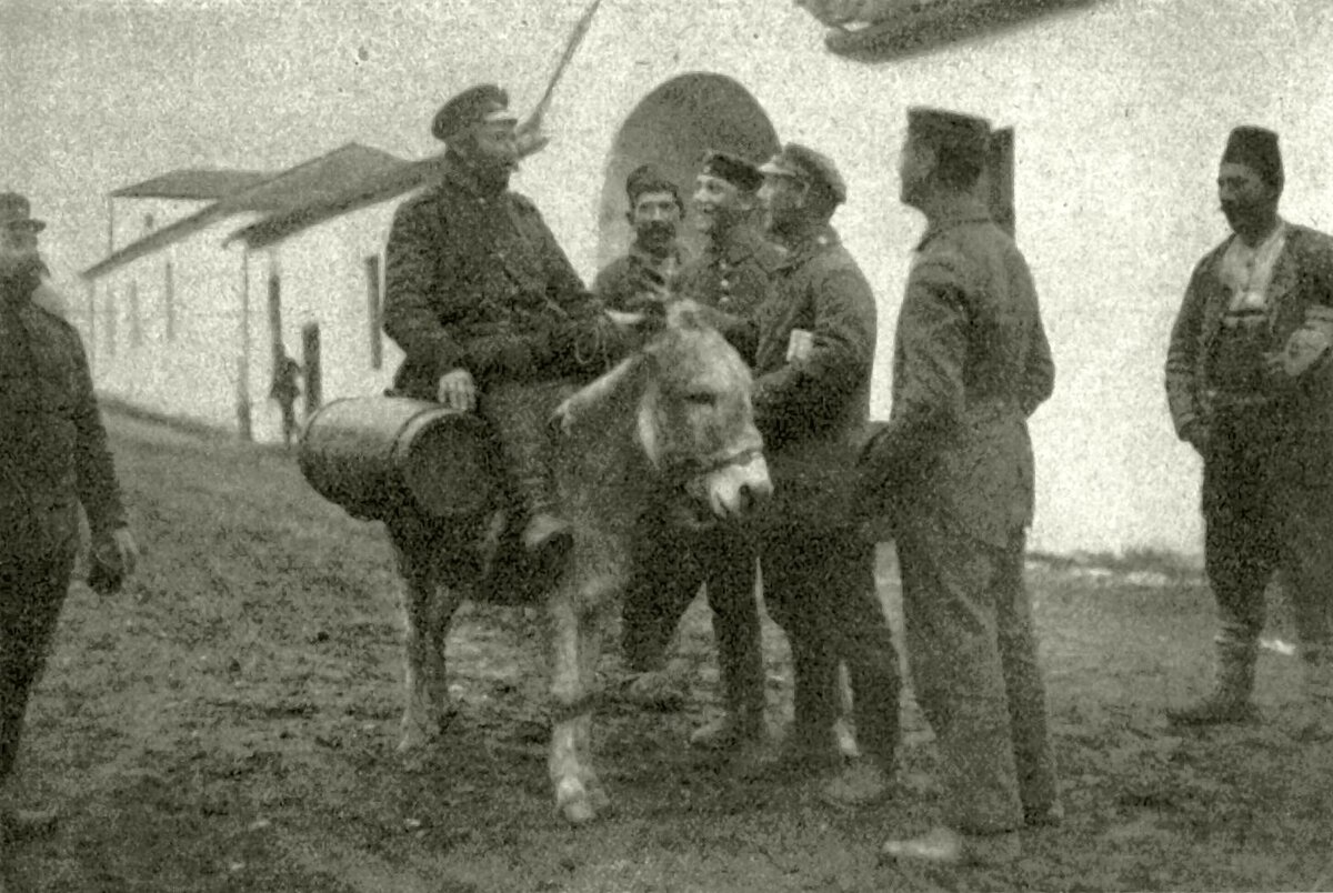 Image_0172_nagykep.jpg