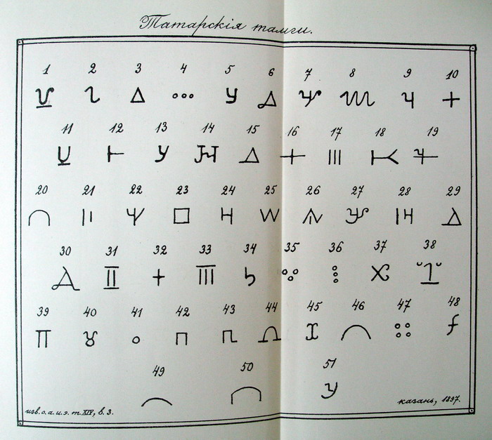 TAMGI.jpg