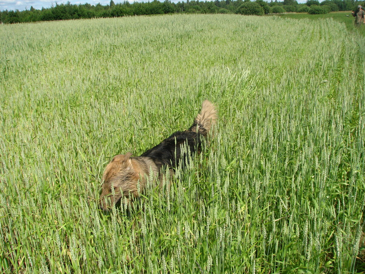 46.JPG