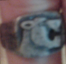 20170723_003529.jpg