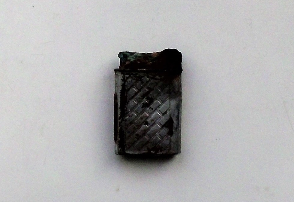 DSCI5635.JPG