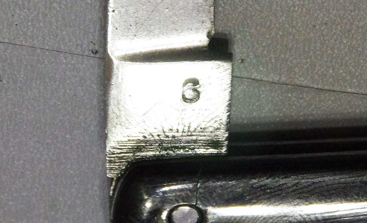 IMGP4559.JPG