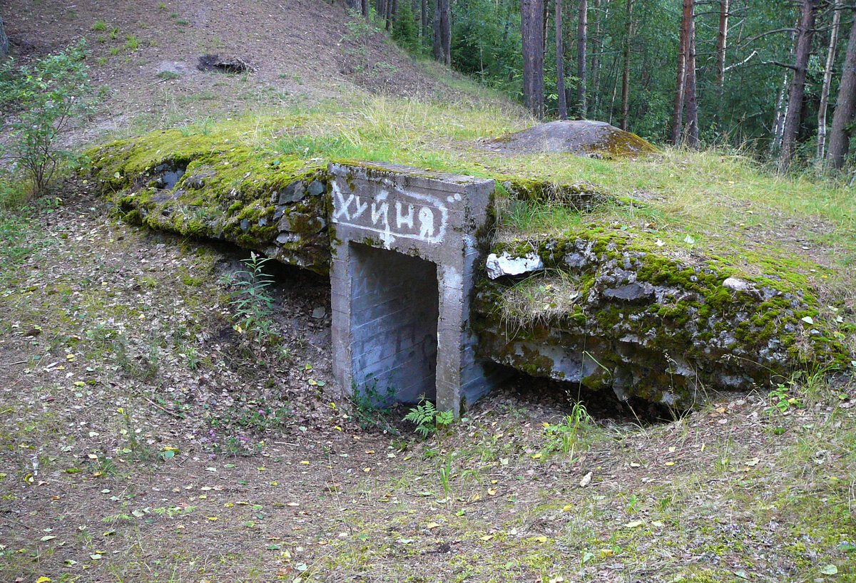 P1420461.JPG