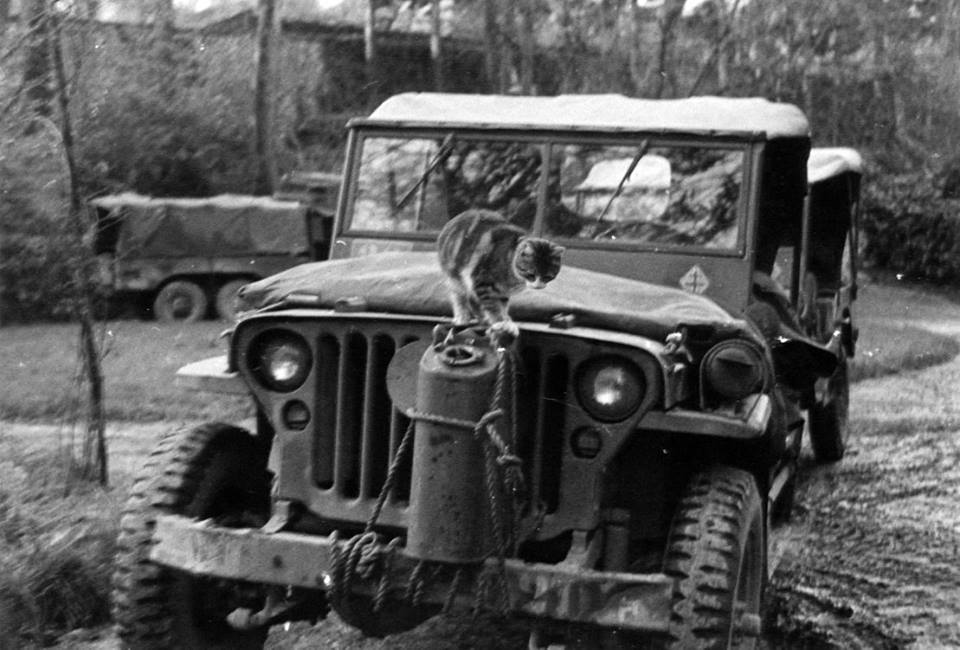 Котейка и willys mb французск. части-.jpg