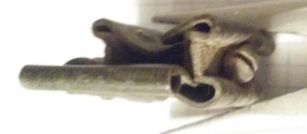 20170818_170851.jpg