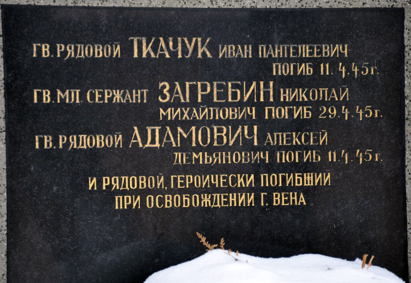 DSC_0042Web.jpg