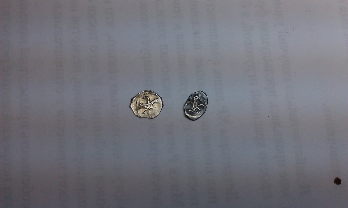 IMAG0128.jpg