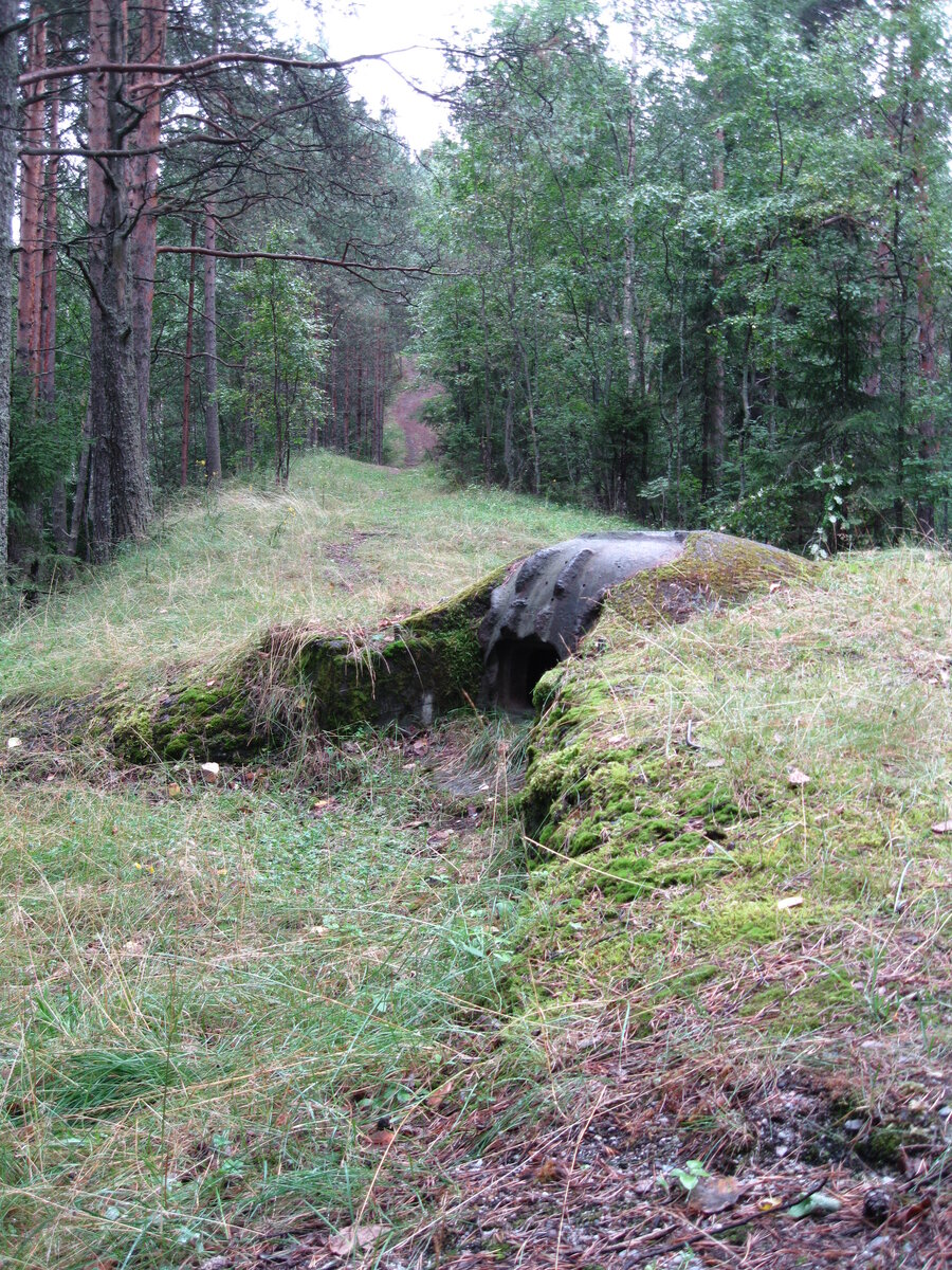 IMG_5263.JPG