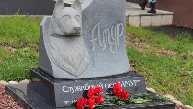 zkvgekhvzhi.jpg
