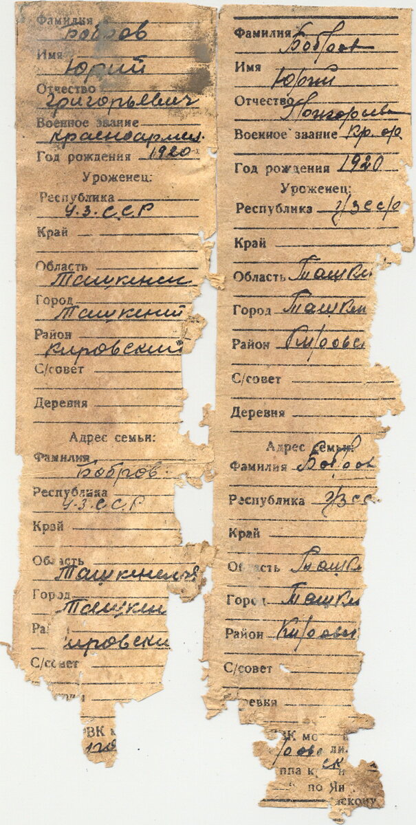 медальон боброва.jpg