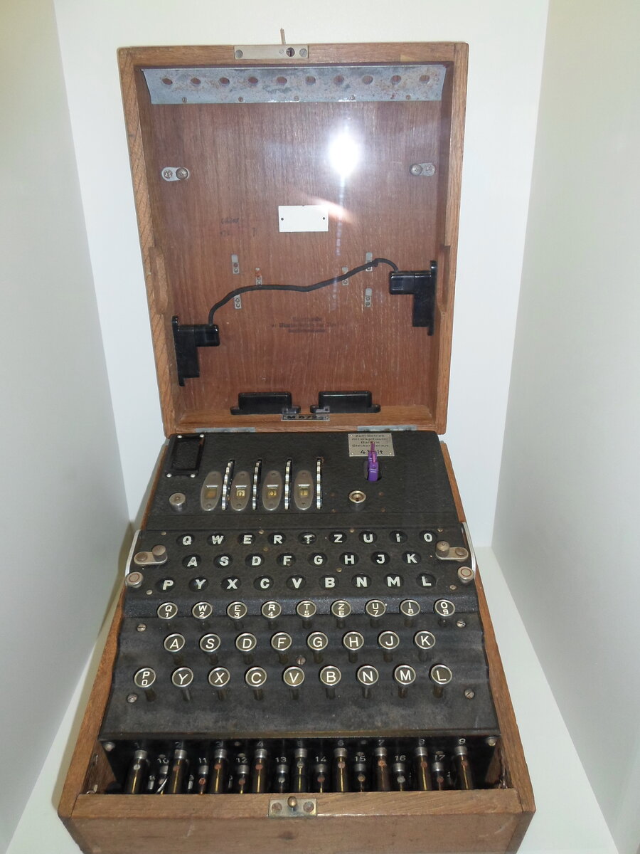 1 (238).JPG