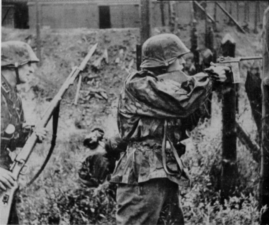 17-710x594.jpg