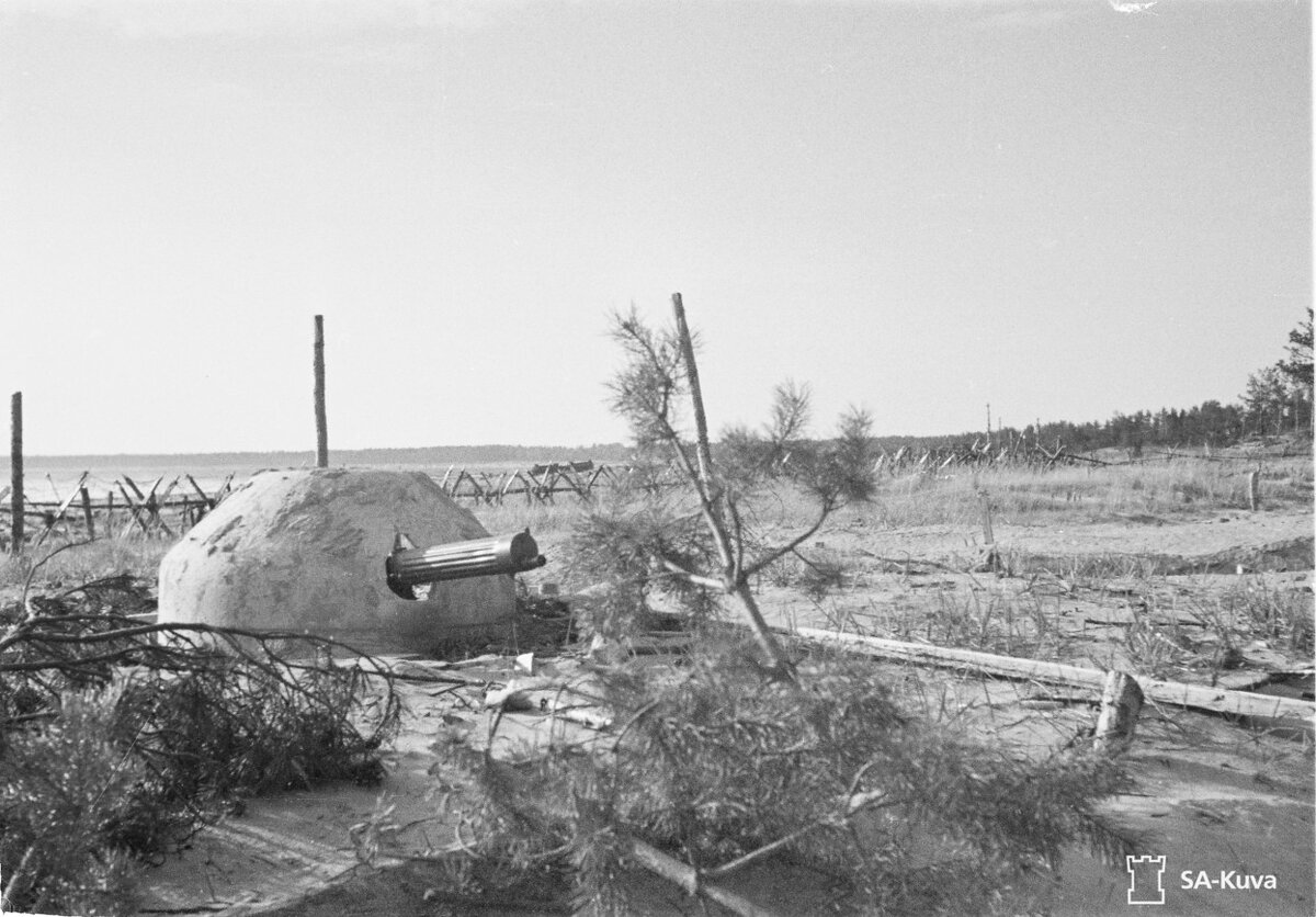 Screenshot_9.jpg