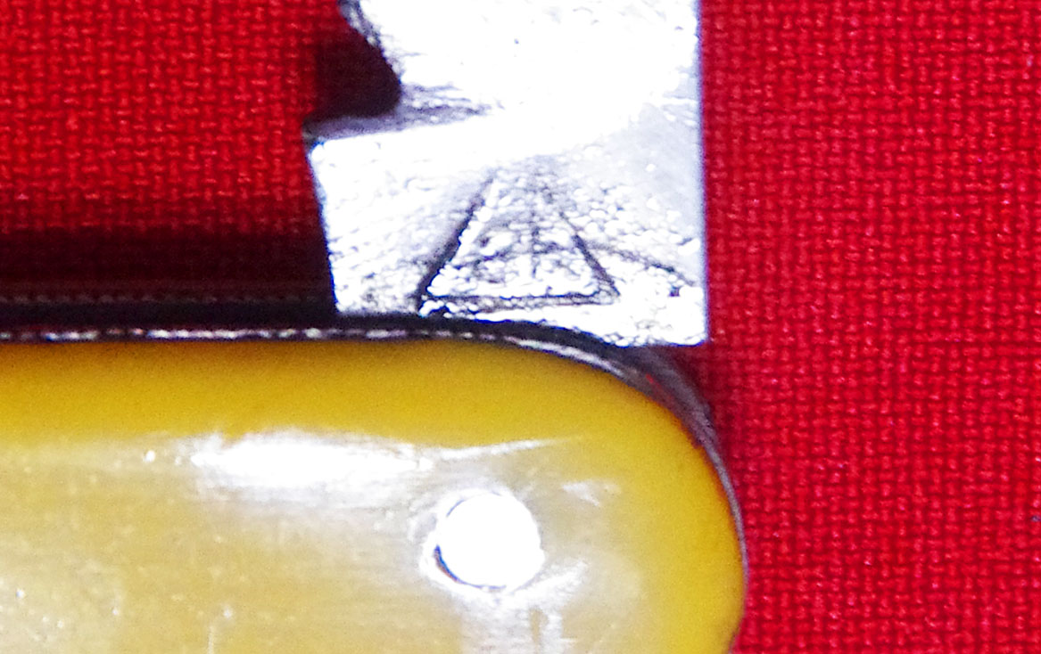 IMGP4919.JPG