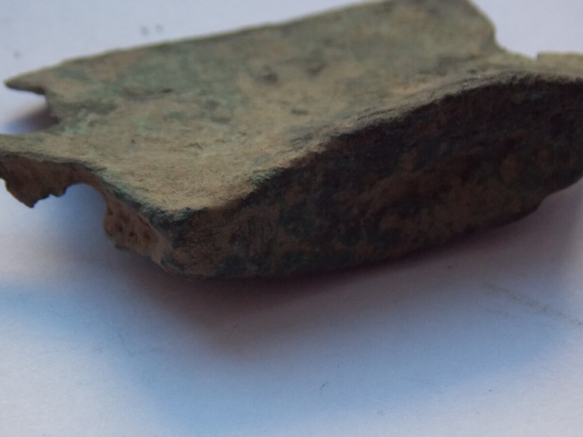 DSCN1254.JPG