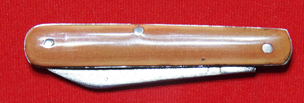 IMGP4942.JPG