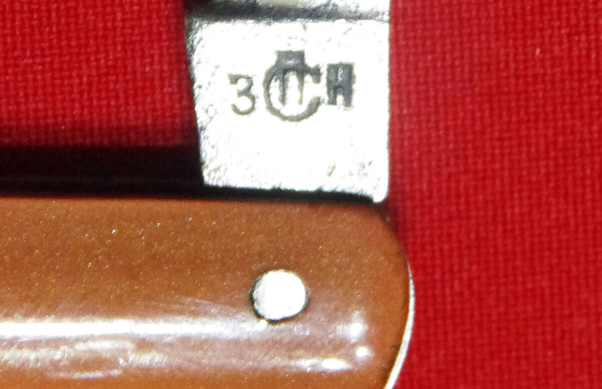 IMGP4944.JPG