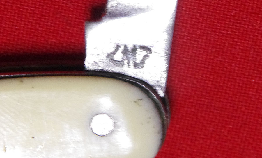 IMGP5014.JPG