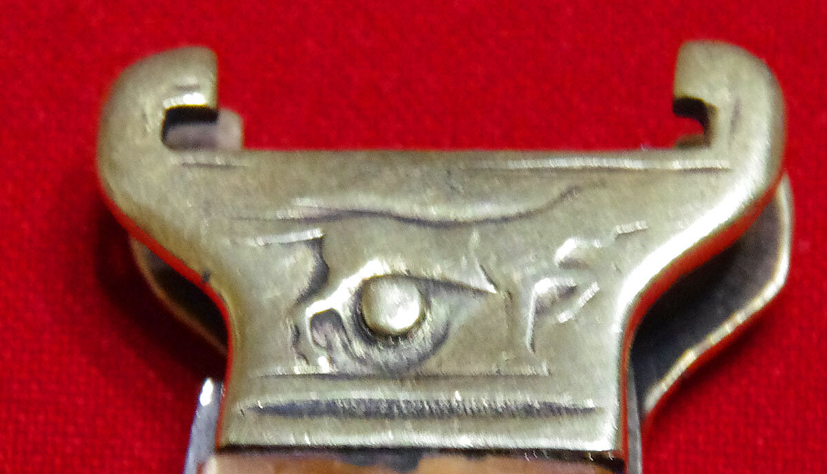 IMGP5033.JPG