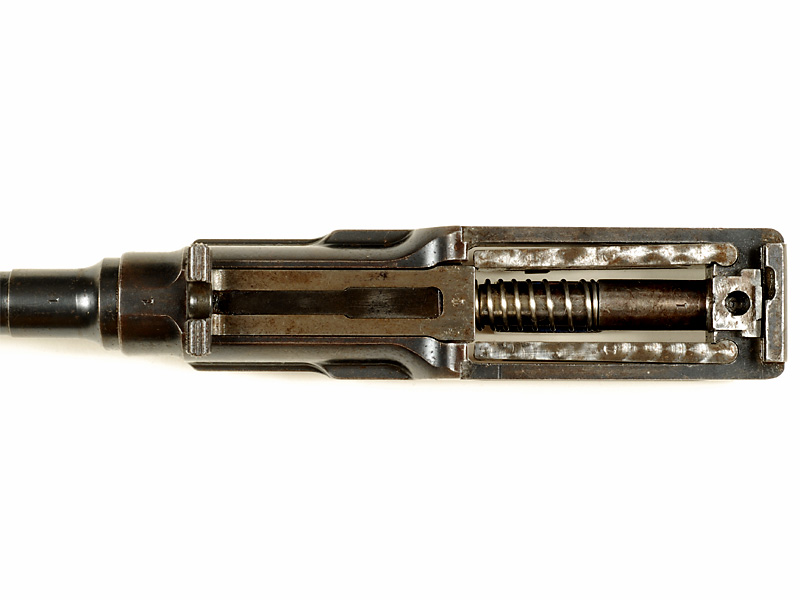 3623372.jpg
