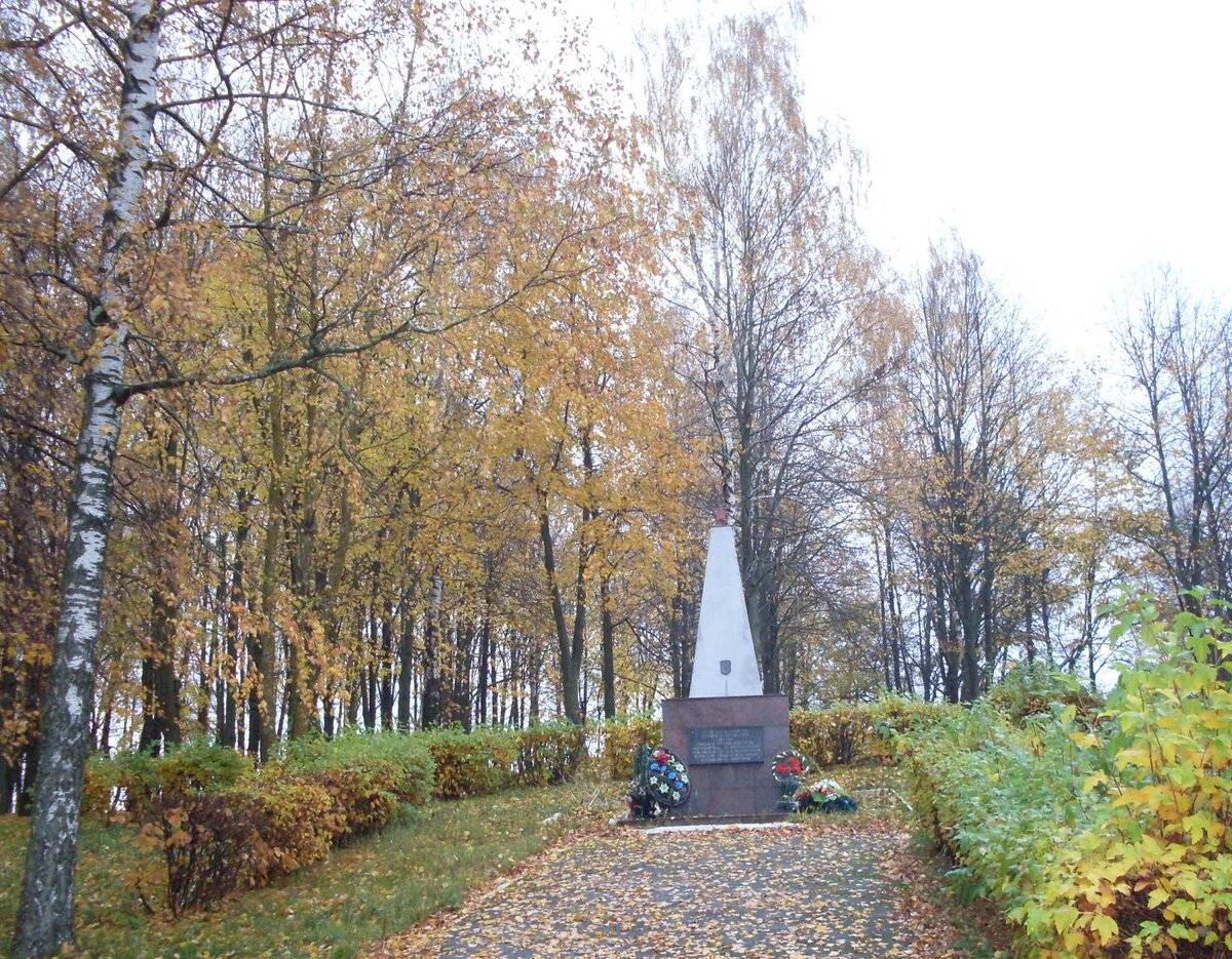 SDC10295.JPG