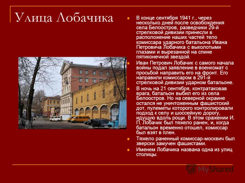 slide_12.jpg