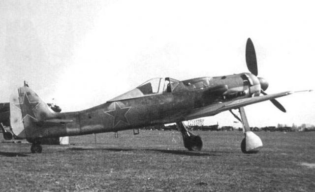 nem-sam-03-640x392.JPG
